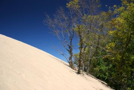 Dunes in Contrast